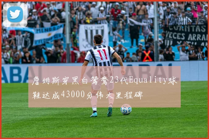 詹姆斯穿黑白鸳鸯23代Equality球鞋达成43000分伟大里程碑