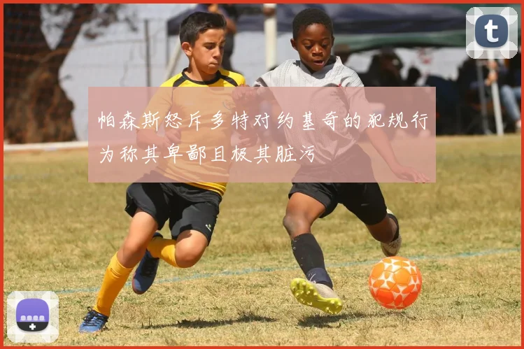 帕森斯怒斥多特对约基奇的犯规行为称其卑鄙且极其脏污