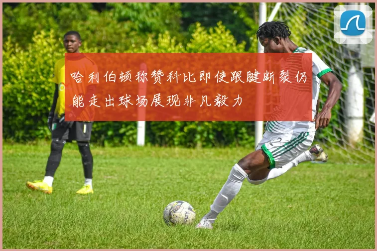 哈利伯顿称赞科比即使跟腱断裂仍能走出球场展现非凡毅力