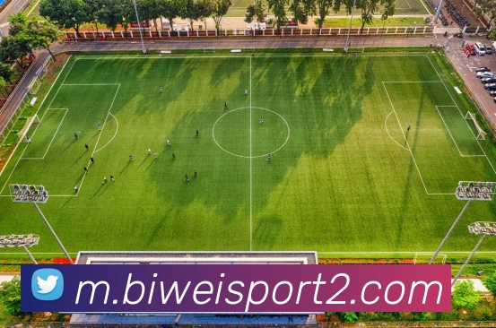 App Interface Preview